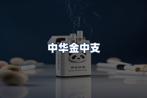 中华金中支